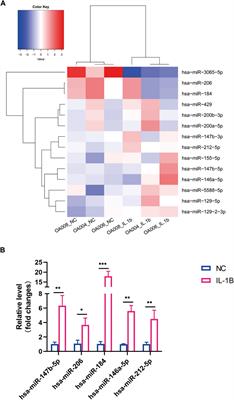 Whole-Transcriptome Sequence of Degenerative Meniscus Cells Unveiling Diagnostic Markers and Therapeutic Targets for Osteoarthritis